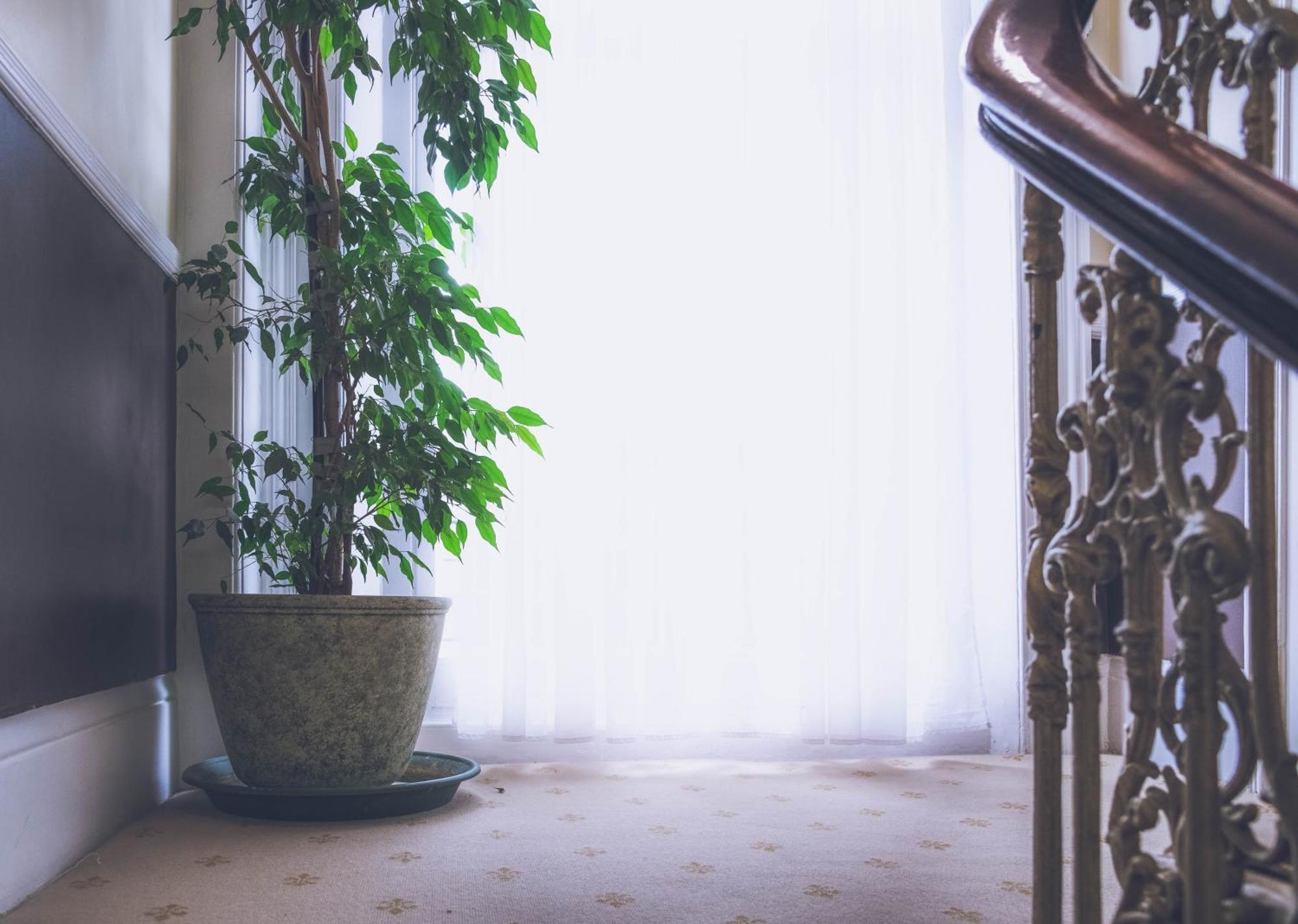 Dolphin Hotel London Bagian luar foto